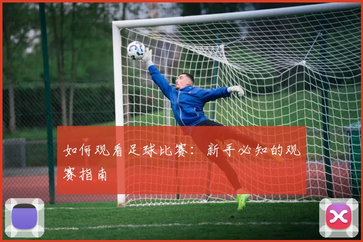 如何观看足球比赛：新手必知的观赛指南
