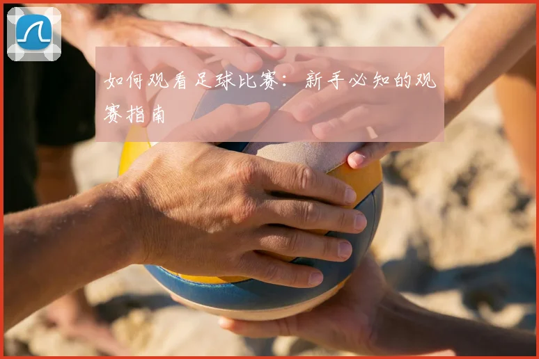 如何观看足球比赛：新手必知的观赛指南