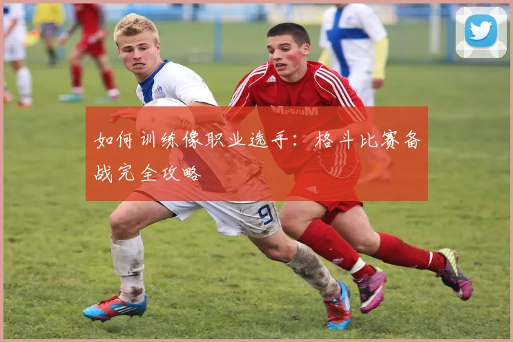 如何训练像职业选手：格斗比赛备战完全攻略